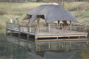 Emahlathini Guest Farm