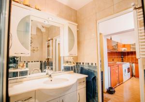 Riverview apartament Oradea