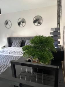 Appartements Black Pearl : Basel, Wifi, Parking : photos des chambres