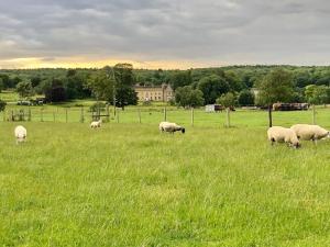 Moo Cow Cottage Self Catering