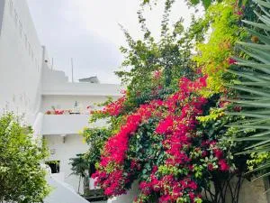 Mosaics Guest House - Chāndīo