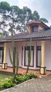 Villa matahari - 希萨鲁阿