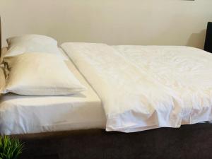 Tranzzit Airport Apartament