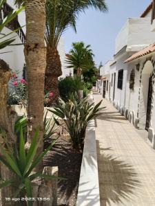 2 Camere Splendida casa vacanze in Tenerife del Sur Casa Trilly