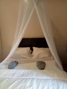 Phòng Đôi (Double Room)