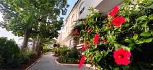 Haus mit traumhaftem Meerblick