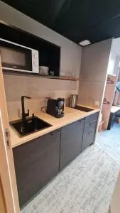 Le 12 saint Etienne neuf wifi app 04 - Le Brûlé