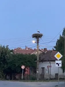 Mio Stan Negotin - Negotin