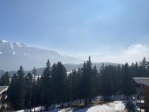 Les Domaines de LArselle à Chamrousse 1700 -Silènes A32 - Classé 3 étoiles