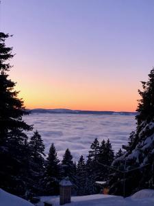 Appartements Chamrousse 1700 - Silenes A32 - Les Domaines de l-Arselle : photos des chambres