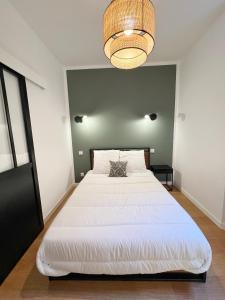 LE TREFLE DE FALGUIERE - Hypercentre- Gare