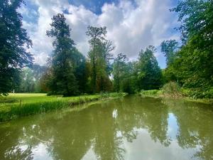 B&B / Chambres d'hotes Chateau de Belleaucourt : photos des chambres