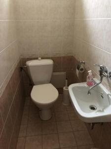 Apartmán s terasou a zahradou na cyklostezce