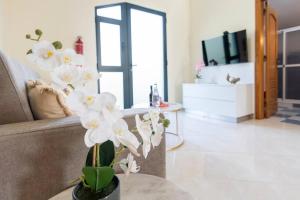 Brancos Apartment by GALMI