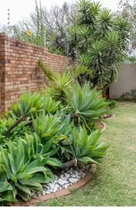 Jewel of Jozi - Bedfordview