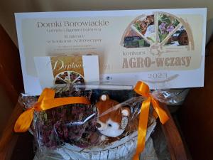 Domki Borowiackie nad brzegiem jeziora