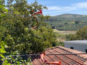 Accetto, Stone House With Pool