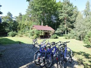 Holiday apartment with garden in Choczewo