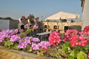 Apartamentos El Palmeral