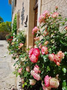 Maisons de vacances Domaine de Saint Pons : photos des chambres