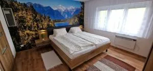 Chata Family s vírivkou v Slovenskom raji - 斯皮什新村