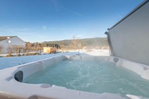 Chalets Chalet du Bien-etre 15p. Piscine,Spa, Hammam,Petanque,Basket : photos des chambres