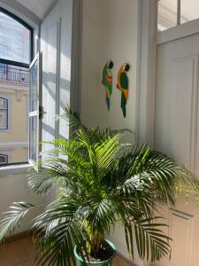 Chiado Home