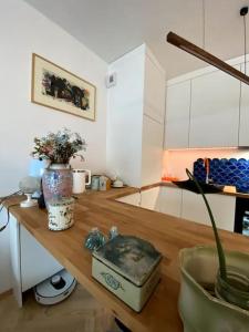 Full Smart Home - Old town Praga.