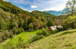 Bohinj Barn