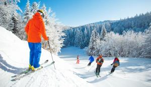 Maisons de vacances Gite de Montagne 