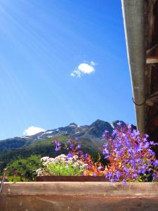 Apartment with Mountain View