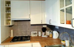 Apartmán CENTRAL, self check in 24 h, free parking