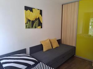 Apartament w Bursztynowych Komnatach