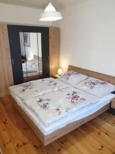 Apartmán CENTRAL, self check in 24 h, free parking - Felsőmicsinye