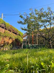 Maisons d'hotes LOU PANTAI : Chambre Familiale - Vue sur Jardin