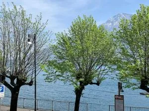 Casa Rino: Vacanze in casetta...... - 东戈