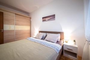 Lux Apartmani Rakić