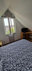 Appartements Logement individuel : photos des chambres