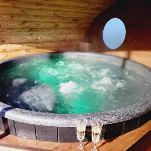 Vipoilsis Namelis N1