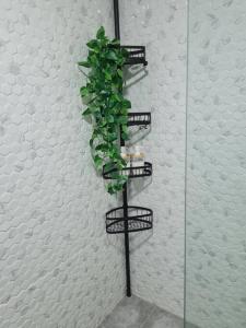 Homey condo unit in BGC - B SOMA NT