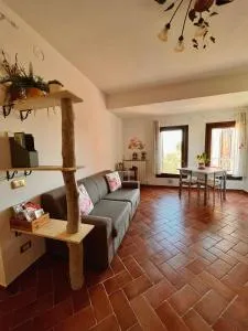 Pink Flamingo Accomodation - 科马基奥 Pink Flamingo Accomodation - 科马基奥