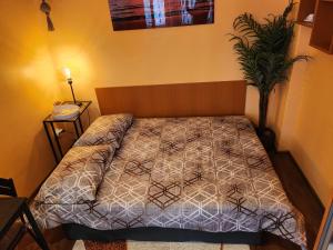 Studio 7A Cozy affordable central oasis