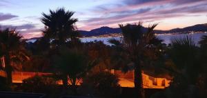 Les Jardins de la Palmeraie - Sublime vue sur la baie dAjaccio