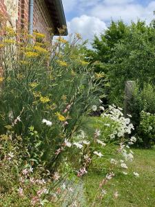 B&B / Chambres d'hotes La petite mairie : photos des chambres