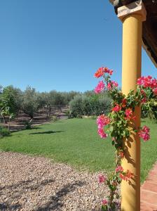 La Buganvilla, descanso entre olivares