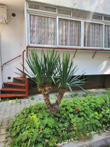 Studio 7A Cozy affordable central oasis