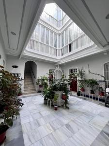 Gatu El Vigía de Tavira, Preferente mayores de 25 años y familias