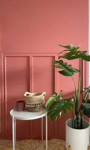 The Pink House - Ma-a