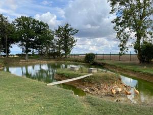 Maisons de vacances Gite au charme de la campagne : photos des chambres