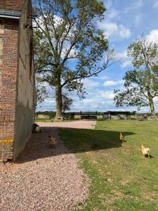 Maisons de vacances Gite au charme de la campagne : Maison de Vacances